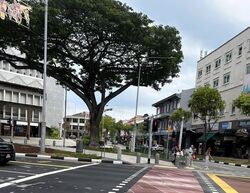joo-chiat-road photo thumbnail #4